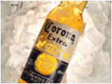 Corona Beer